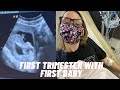 First Trimester Recap - symptoms, doctor appointments, bump update