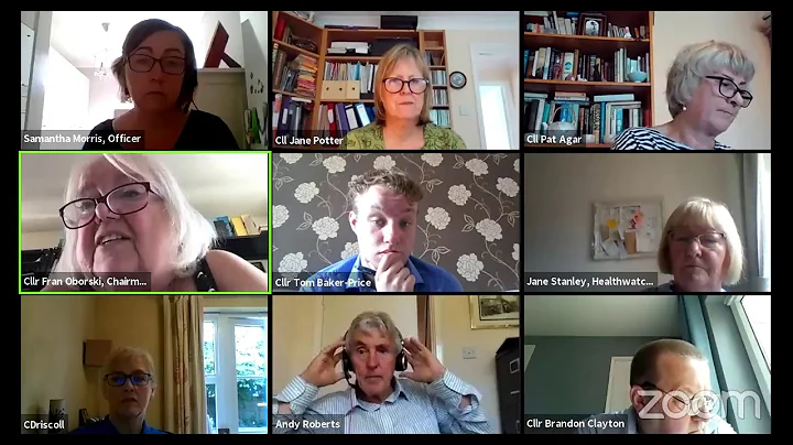 Children and Families Overview and Scrutiny Panel