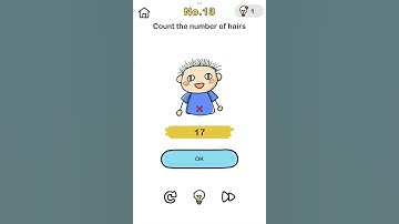 Brain Out Level 13 - Count the number of hairs