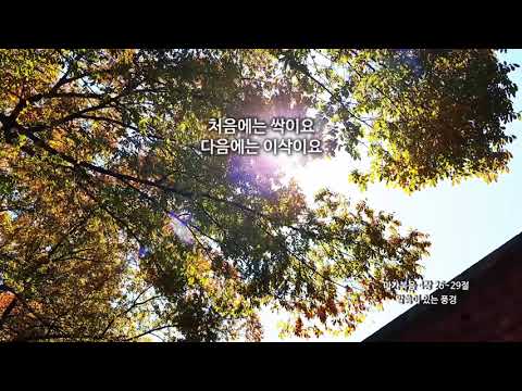[신천지 예수교회] 말씀이 있는 풍경 - 가을 - 11 - 마가복음 4장 26~29절