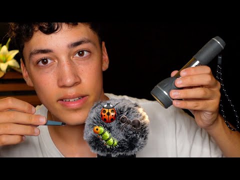 ASMR Bug Searching (mouth sounds, inaudible, plucking)