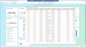 SAP Business One - Financials and Collection Demo