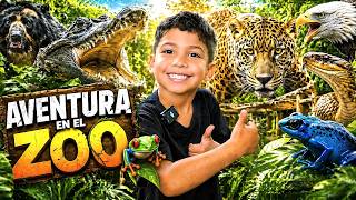 Animales Salvajes Muy Cerca De Nosotros