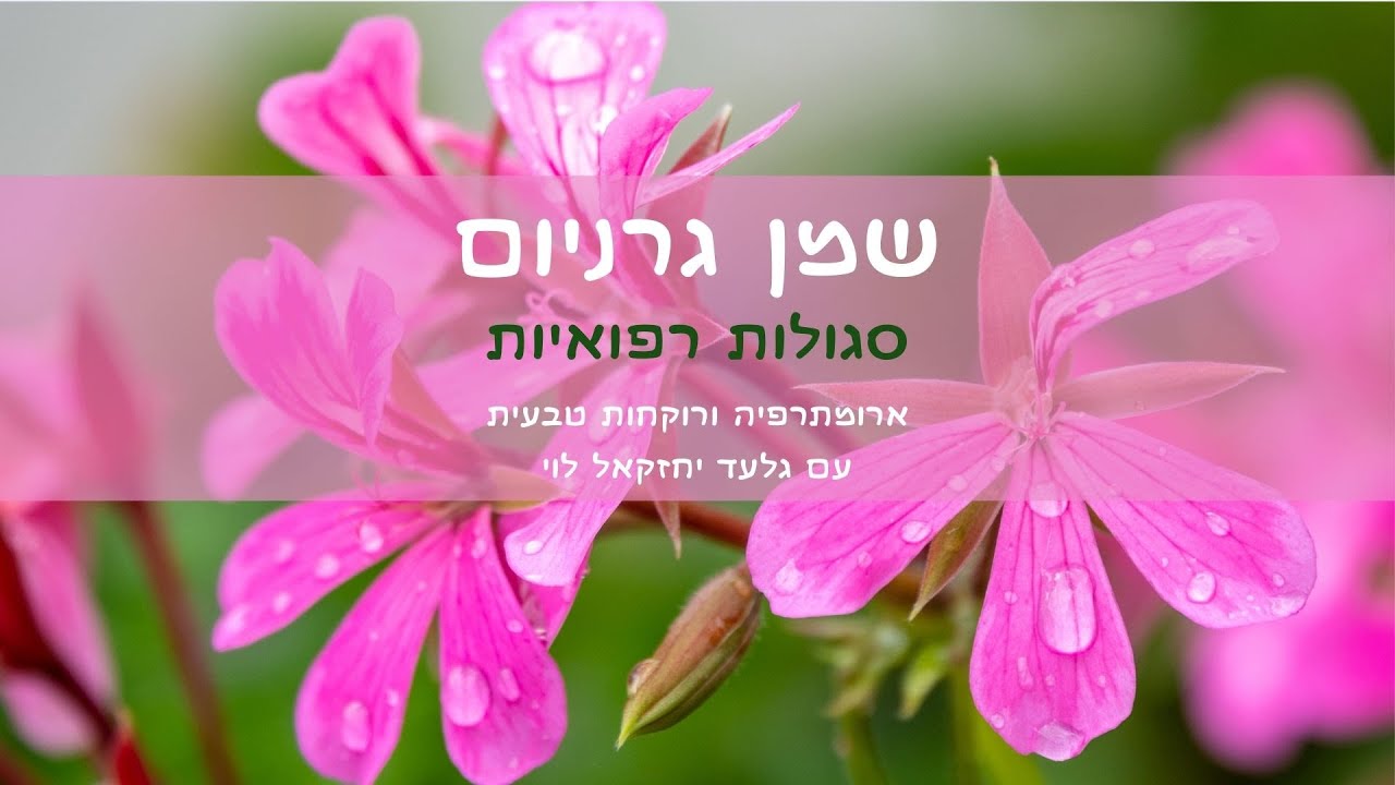 שמן אתרי גרניום -  סגולות רפואיות