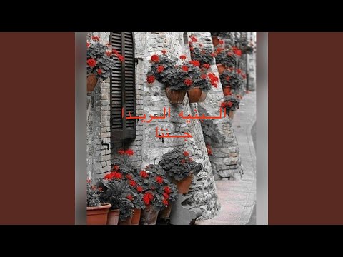 البنيه الريدا جننا