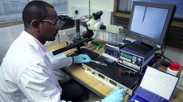 Who Should Study Engineering at UCL?