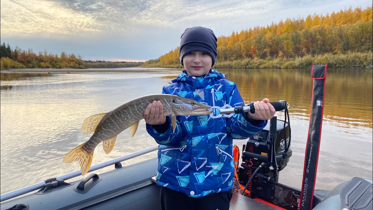 Сын поймал свою первую щуку, неподдельные эмоции!!! ?????? #щука #рыбалка ...