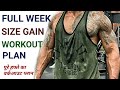 Full Week Size Gain and Muscle Gain Workout Plan | पूरे हफ्ते का वर्कआउट प्लान| weight gain exercise