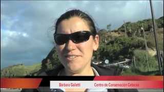 Primer Reportaje &quot;Escuadrón de Protección Ambiental&quot; de los Guardianes de la Bahía de Púñihuil