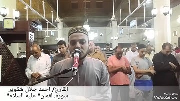 سورة لقمان بصوت القارئ أحمد جلال شقوير