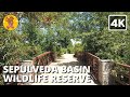 Sepulveda basin wildlife reserve walking tour  los angeles 4k ultra   binaural sound