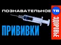 ПРИВИВКИ. О чём молчат медицина, власть и корпорации (Познавательное ТВ, Пламен Пасков)