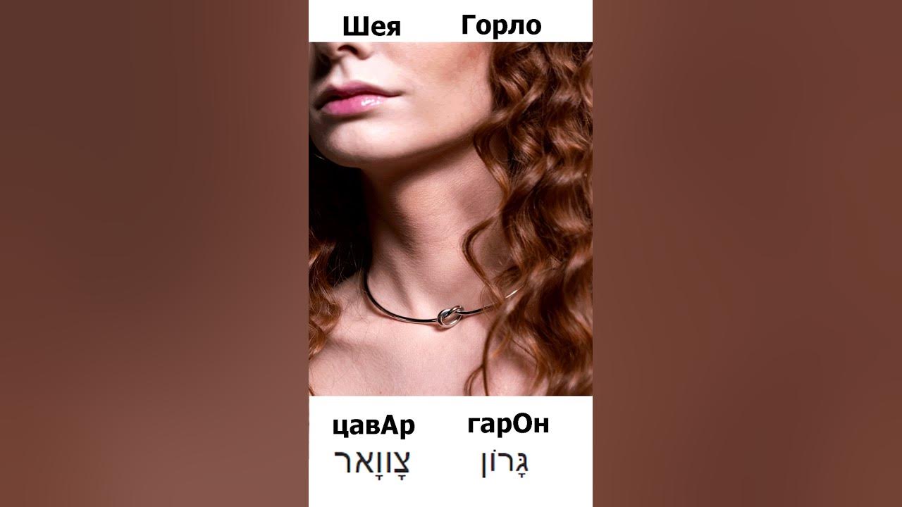 To be a pain in the neck идиома. A pain in the neck идиома. Neck перевод на русский. A neck перевод. A neck перевод.