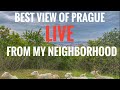 FRIDAY LIVE: Best view of Prague from my neighborhood LIVE (HONEST VLOG)