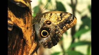 Assorted photography - nature & others
