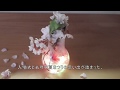 【造花でＤＩＹ】桜のハ―バリウムの作り方・インスタ映えの電球を再利用