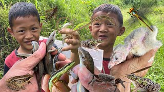 The kid was very talented at catching lizards.