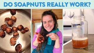 How to make SOAPNUTS laundry detergent & MANY MORE USES!
