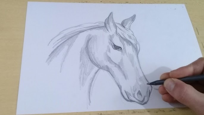 Desenho de cavalo realista que fiz a um tempinho😊