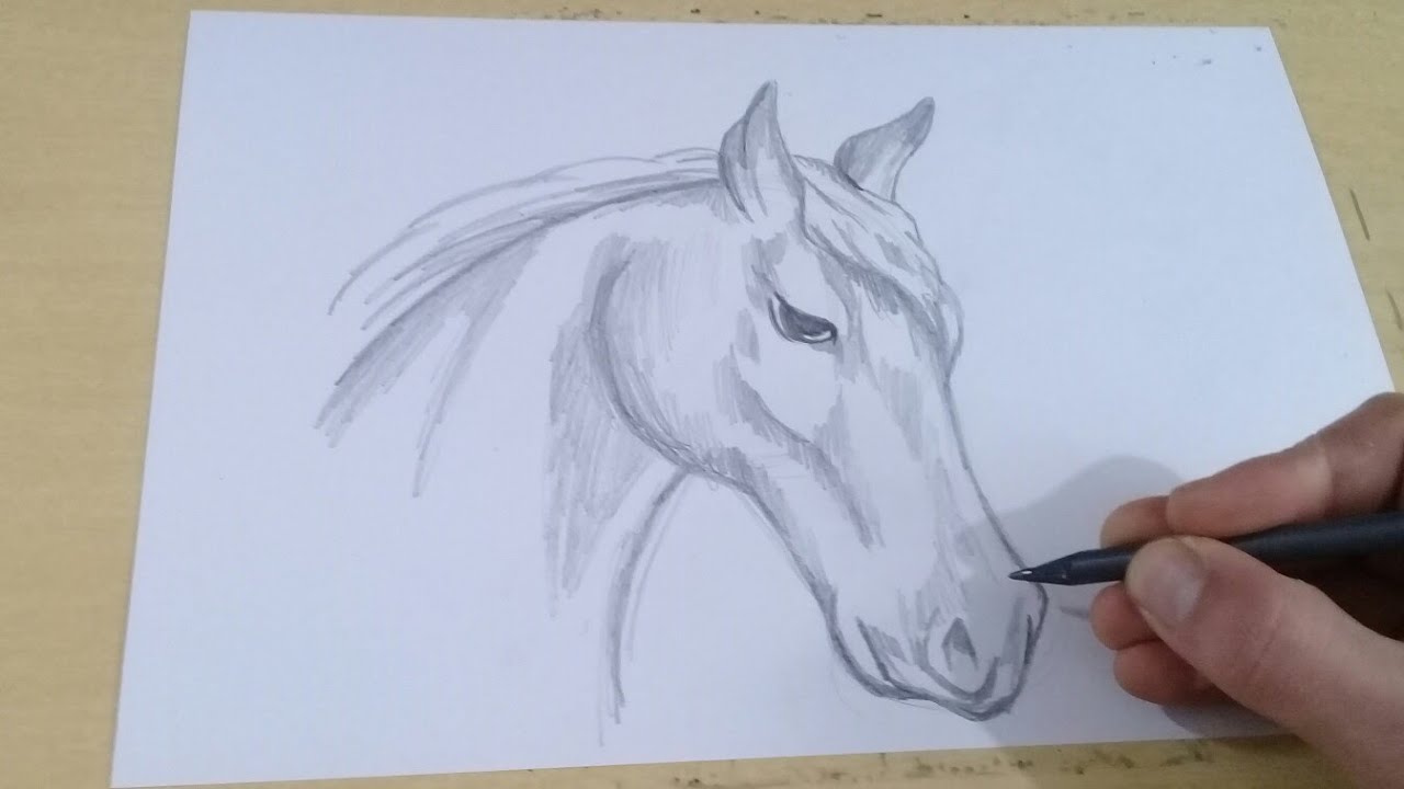 TUTORIAL COMO DESENHAR um CAVALO passo a passo 