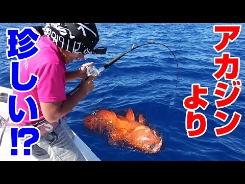 UVERworldの皆さんに沖縄で釣った魚を届ける‼#2