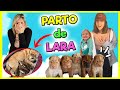 😻 Mi PARTO 👶🏼 LARA ESTÁ EMBARAZADA 🤰🏼 TIENE BEBÉS CACHORROS 🐶 SOMOS FAMILIA NUMEROSA 🤩