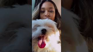 If My Life Had A 30 Sec Trailer