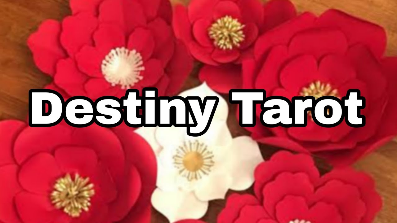 Destiny Tarot is live#ShivShakti#MaaKali#Growth#Success#Abundance#LordHanuman#LordShaniDev🍁🏇