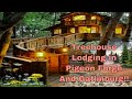 Amazing Treehouses in Pigeon Forge and Gatlinburg!!!