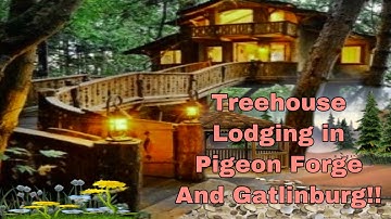 Amazing Treehouses in Pigeon Forge and Gatlinburg!!!
