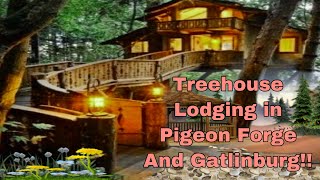 Amazing Treehouses in Pigeon Forge and Gatlinburg!!!