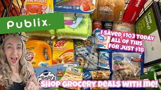 PUBLIX HAUL 4/104/16 | EASY GROCERY DEALS | I SAVED $103!