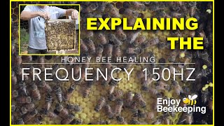 05 07 2023 Explaining Honey Bee Frequency