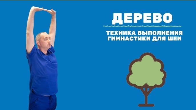 Все упражнения доктора шишонина техника выполнения гимнастики