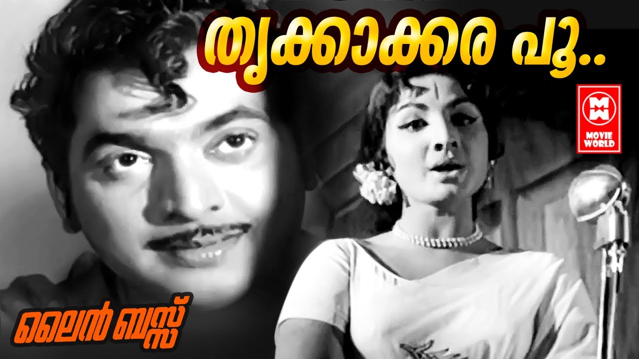 Thrikkakara Poo Poranju   Line Bus 1971  Vayalar Ramavarma  G Devarajan  P Madhuri  Film Songs