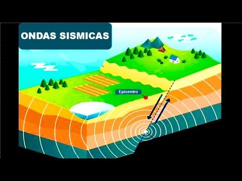 Video: ¿Cuáles son las diferentes ondas sísmicas?