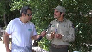 Henrycowell - Ceanothus