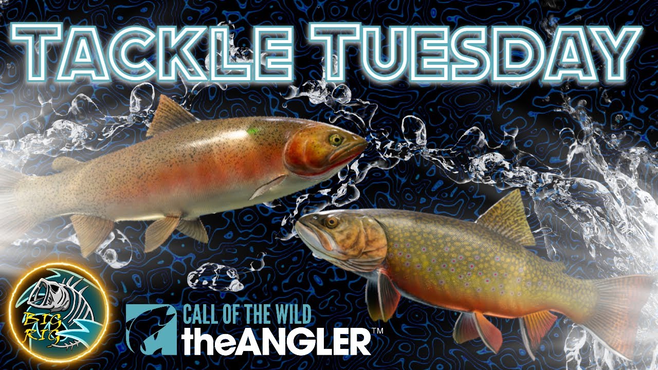 Fishing For Brook and Cutthroat Trout! Tackle Tuesday! TheAngler