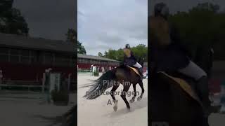 Tunier In Schefflenz Erfolgreich Bestritten.