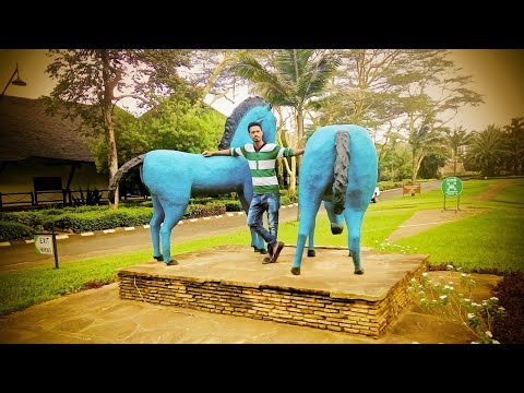 Best Oromo Classical Music