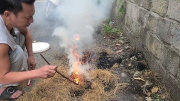 Nướng chuột đồng béo ngậy thơm phức lê Toàn nb