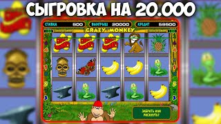 АВТОМАТ ОБЕЗЬЯНКИ КОРМИТ ЗАНОСАМИ