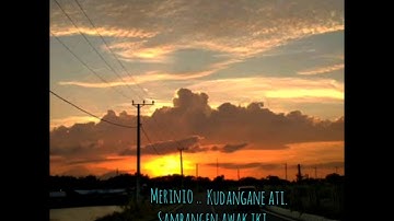 Story bahasa Osing Banyuwangi ono roso
