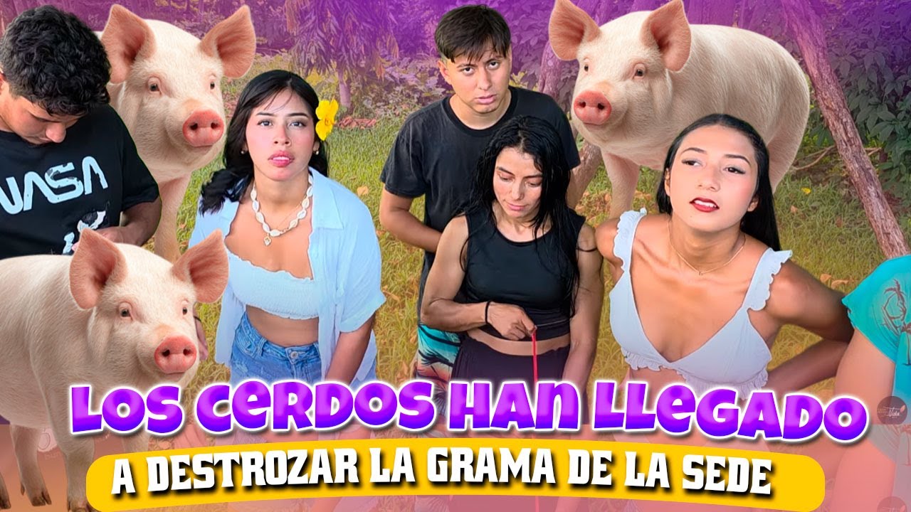 CAMARÓN ESTA MOLESTO y  hace un llamado a los vecinos, que se hagan responsables de sus animales🐷