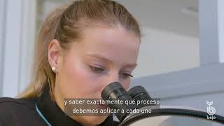 BEJO | Seed Quality Tour - [EN-SP_LA]