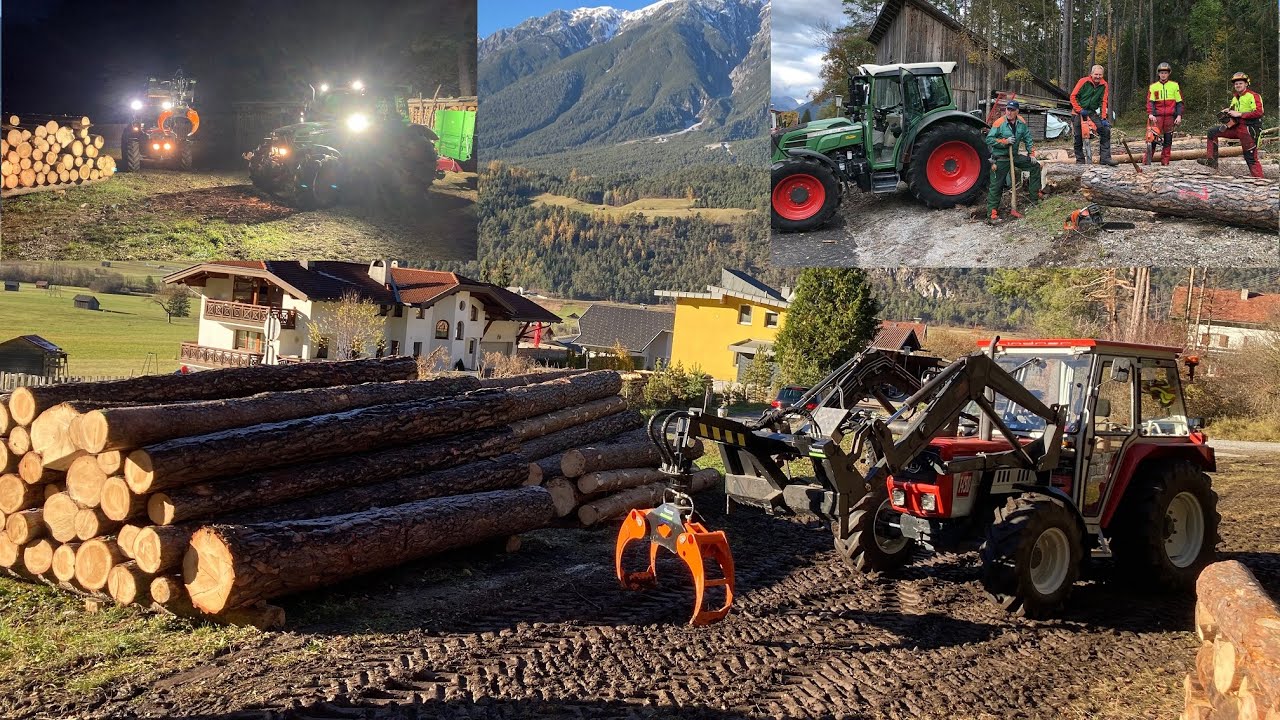 Forstarbeiten&Transport | die letzten Bäume 2021