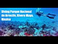 Awesome scuba diving on the reefs in riviera maya mexico