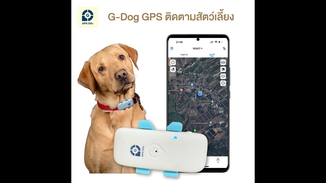 แนะนำ G-Dog GPS สำหรับสัตว์เลี้ยง ดูตำแหน่งสัตว์เลี้ยงแบบเรียบทามผ่าน Application GPSDD