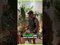 How Humidity Can Save Your Plants from Spider Mites