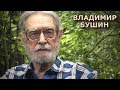 Владимир Бушин. Ответы на вопросы (июль 2018)